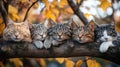 Charming Cats in Autumn Tree - A Diverse Group of Felines Resting Among Colorful Fall Foliage, Capturing the Grace