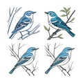 Charming Cerulean Warbler Bird Artwork Royalty Free Stock Photo