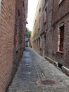 Charming Charleston cobblestone beautiful alley