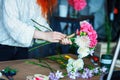 Charming cheerful female shop assistant making bouquet with purple crocus, Eucalyptus poplaraceous populus and Chrysanthemum singl Royalty Free Stock Photo