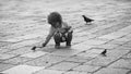 Charming child. Baby boy feeding birds Royalty Free Stock Photo