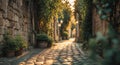 Charming cobblestone alleyway lined with greenery during golden hour light. Royalty Free Stock Photo