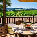 186 A charming countryside vineyard with rolling vineyards, wine tastings, and scenic picnic areas, inviting visitors to savor t