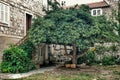 Charming courtyard in Dubrovnik Croatia