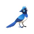 Charming Curl-crested Jay Bird Design Royalty Free Stock Photo