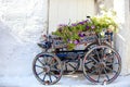 Charming Decorative cart with flowers at the