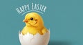 Happy Easter Fluffy Chick Hatching from Egg Royalty Free Stock Photo