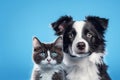 Charming Duo: British Shorthair Cat Kitten and Border Collie Dog (AI Generated)