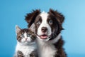 Charming Duo: British Shorthair Cat Kitten and Border Collie Dog (AI Generated)