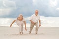 Charming elderly couple enjoy the sea breeze Royalty Free Stock Photo