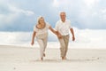 Fine elderly couple enjoy the sea breeze Royalty Free Stock Photo