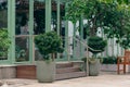 Charming entryway with potted topiaries and green window frames in Neve Tzedek, Tel Aviv, exuding a cozy Mediterranean vibe Royalty Free Stock Photo