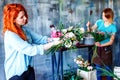 Charming cheerful female shop assistant making bouquet with purple crocus, Eucalyptus poplaraceous populus and Chrysanthemum singl Royalty Free Stock Photo