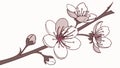 Charming Floral Branch Vector with White Pink Blooms, vector design Generative AI Royalty Free Stock Photo