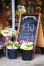 Flower shop sidewalk display with sign Royalty Free Stock Photo