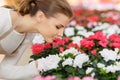 Charming florist smelling flowers Royalty Free Stock Photo