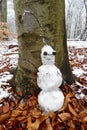 A Charming Forest Encounter: A Small Self-Made Snowman with Pinecone Eyes and Twig Hair and Arms