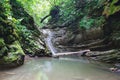 Charming forested cliffs overgrown with ivy and moss with waterfall flowing down Royalty Free Stock Photo