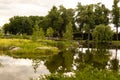 Charming garden pond, lined with moss-covered stones, wood and bushes. Pond equipped with water iris. In background