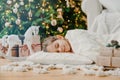 Charming girl sleeps on soft white pillow on floor against decorated New Year tree, has pleasant dreams, surrounded with toy horse Royalty Free Stock Photo