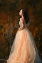 A charming girl stands alone and poses for a royal picture, a pretty princess in a golden expensive luxurious glittering