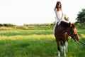 Charming girl in white dress sitting on horse in the field Royalty Free Stock Photo