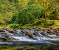 Charming golden yellow forest and valley rapids in Shuangliu National Forest Recreation Area