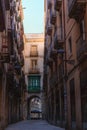 The charming Gothic Quarter, or Barri Gotic, has narrow medieval streets filled with trendy bars, clubs and Catalan restaurants.
