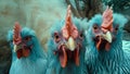 A charming group of chickens with bright blue feathers, taking a selfie. Generative AI