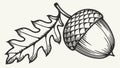 Hand-Drawn Acorn and Oak Leaf - Rustic Nature Sketch, vector design Generative AI Royalty Free Stock Photo