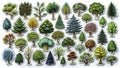Charming HandDrawn Tree Stickers A Printable Collection of 45 HighQuality Botanical Illustrations for NatureThemed Royalty Free Stock Photo
