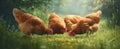 The Charming Hens Foraging in a Lush Green Landscape.AI generated image Royalty Free Stock Photo