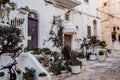 Charming Historical Street with Lovely Plants and Cute Italian Scene in Ostuni