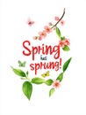 A charming illustration of the phrase "Spring has sprung " in bold red and blue letters Royalty Free Stock Photo