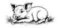 A charming illustration of a young pig resting on grass, showcasing its cute Royalty Free Stock Photo