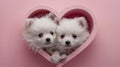 Puppy Love: Two Adorable Pomeranian Spitz Pups Peeking from Heart-Shaped Hole on Pink Background with Copy Space