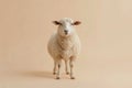 Adorable Fluffy Sheep Standing Against Beige Background Royalty Free Stock Photo