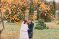 Charming just married couple embracing in the beautiful autumn park under tree with yellow leaves Royalty Free Stock Photo