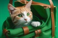 charming kitten peeks out of a green women& x27;s bag on a green background. Playground AI platform