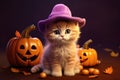 Charming Kitten in Purple Witch Hat with Lit Jack-O'-Lanterns and Autumn Leaves