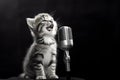 a charming kitten sings a funny song into a microphone on a black background, the concept of creative advertising with animals,