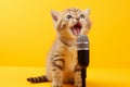 a charming kitten sings a funny song into a microphone on a yellow background, the concept of creative advertising with animals,