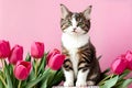 Charming Kitten with Tulips: High-Quality Photo of Cute Kitten