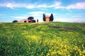 charming landscape with rape flowers and chapel of Madonna di Vitaleta in background on a sunny day in San Quirico d'Orcia