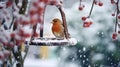 a charming little garden bird perched at a bird feeder, surrounded by a snowy garden landscape. The scene conveys the