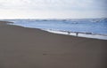 An improbable landing on the edge of the beach at Lacanau Ocean.