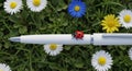 Charming Macro Flat Lay of a Red Ladybug on a White Fountain Pen with Daisies and Grass Royalty Free Stock Photo