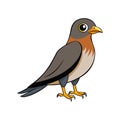 Charming Merlin Bird Realistic Artwork Royalty Free Stock Photo
