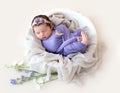 Charming newborn sleeping in cradle Royalty Free Stock Photo