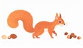 Charming Orange Squirrel with Bushy Tail Enjoying Nuts on Clean White Background Royalty Free Stock Photo